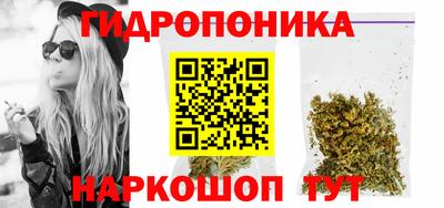 ешки Можга