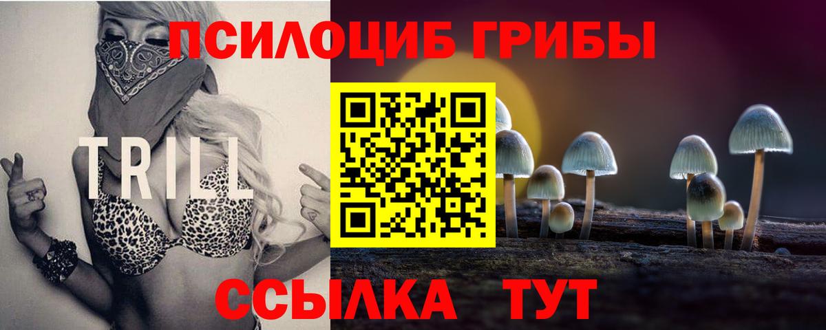 Галлюциногенные грибы Psilocybine cubensis  Вход с VPN  Люберцы 